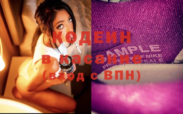 ECSTASY Алзамай