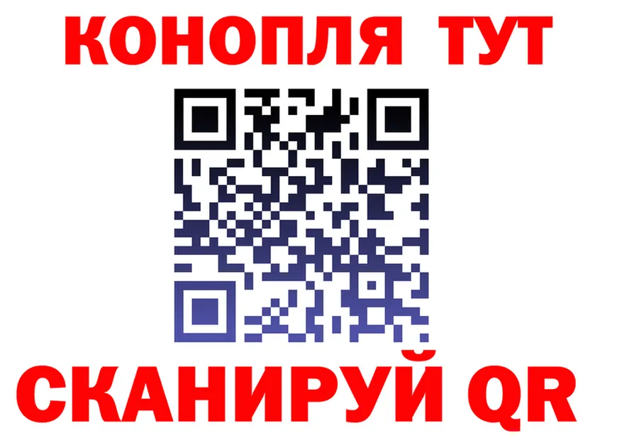 Где найти наркотики? это как зайти Бикин